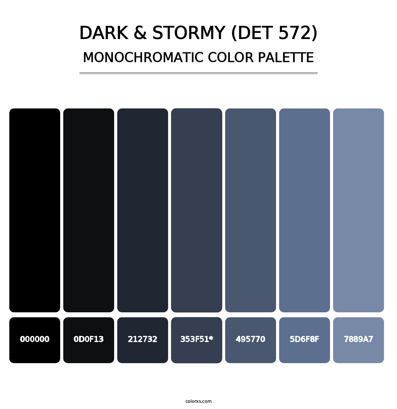 Dark & Stormy (DET 572) - Monochromatic Color Palette