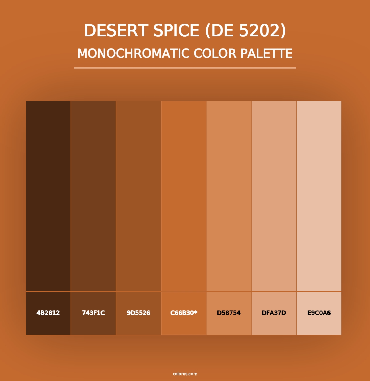 Desert Spice (DE 5202) - Monochromatic Color Palette