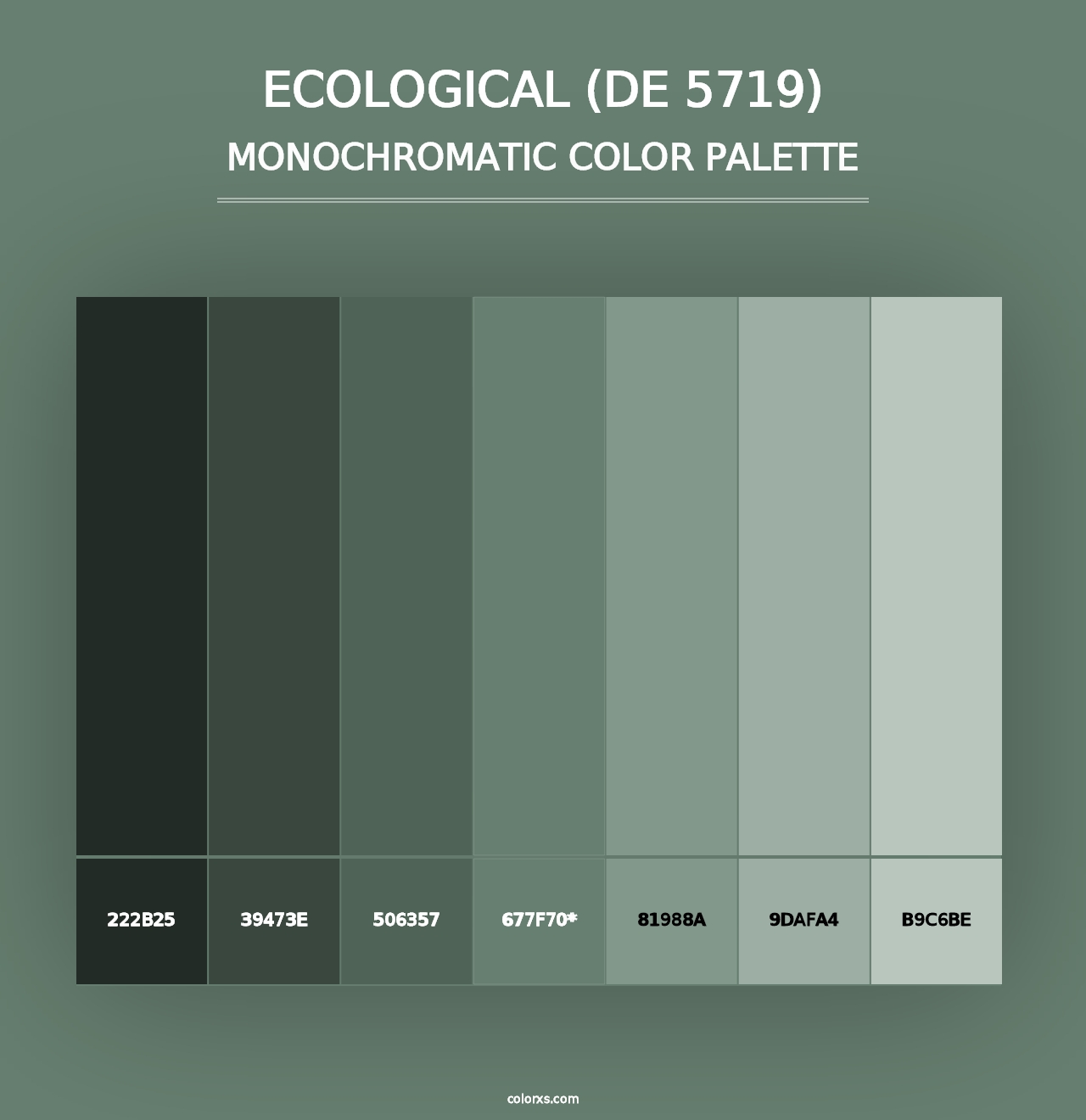 Ecological (DE 5719) - Monochromatic Color Palette