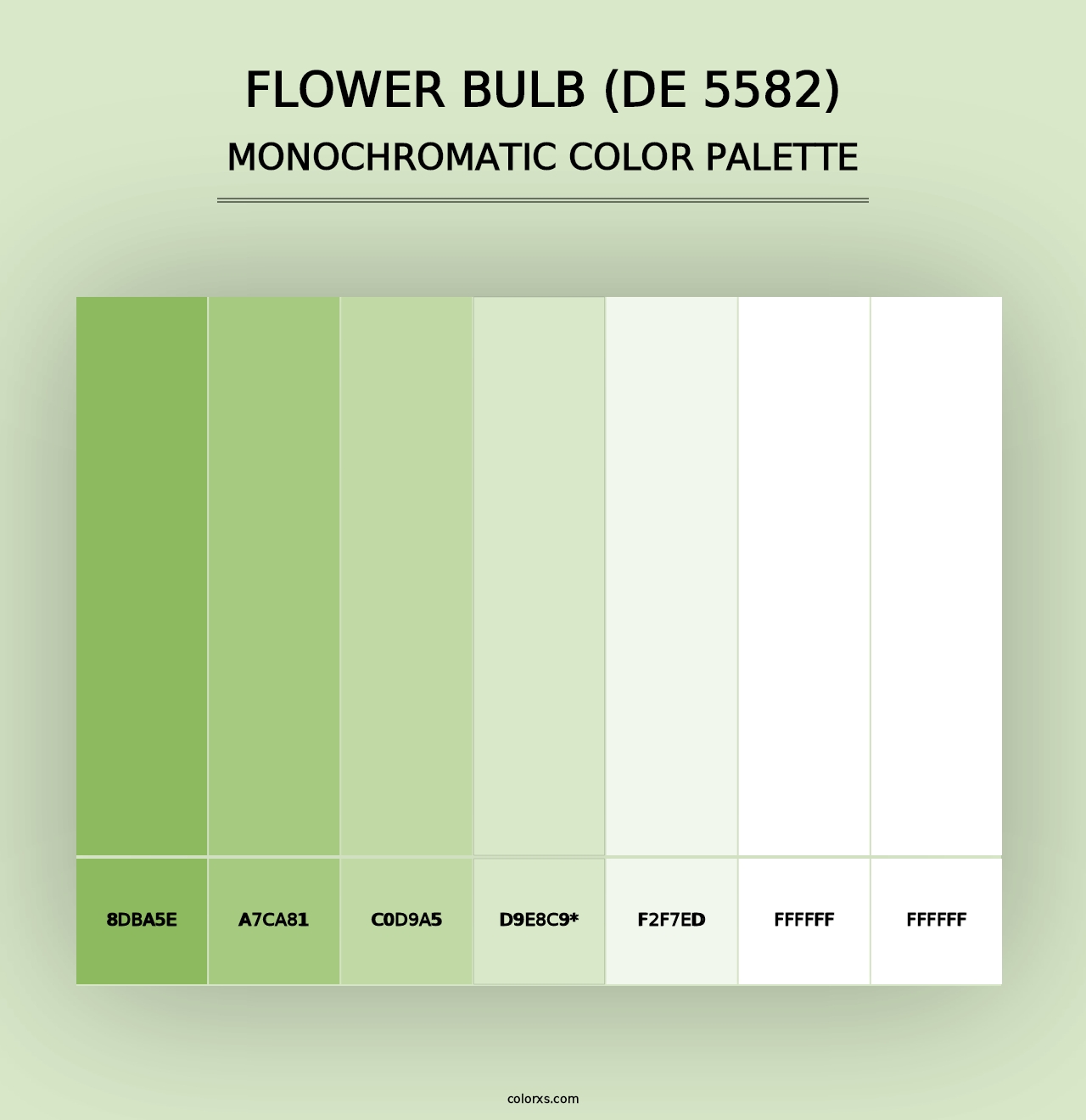 Flower Bulb (DE 5582) - Monochromatic Color Palette