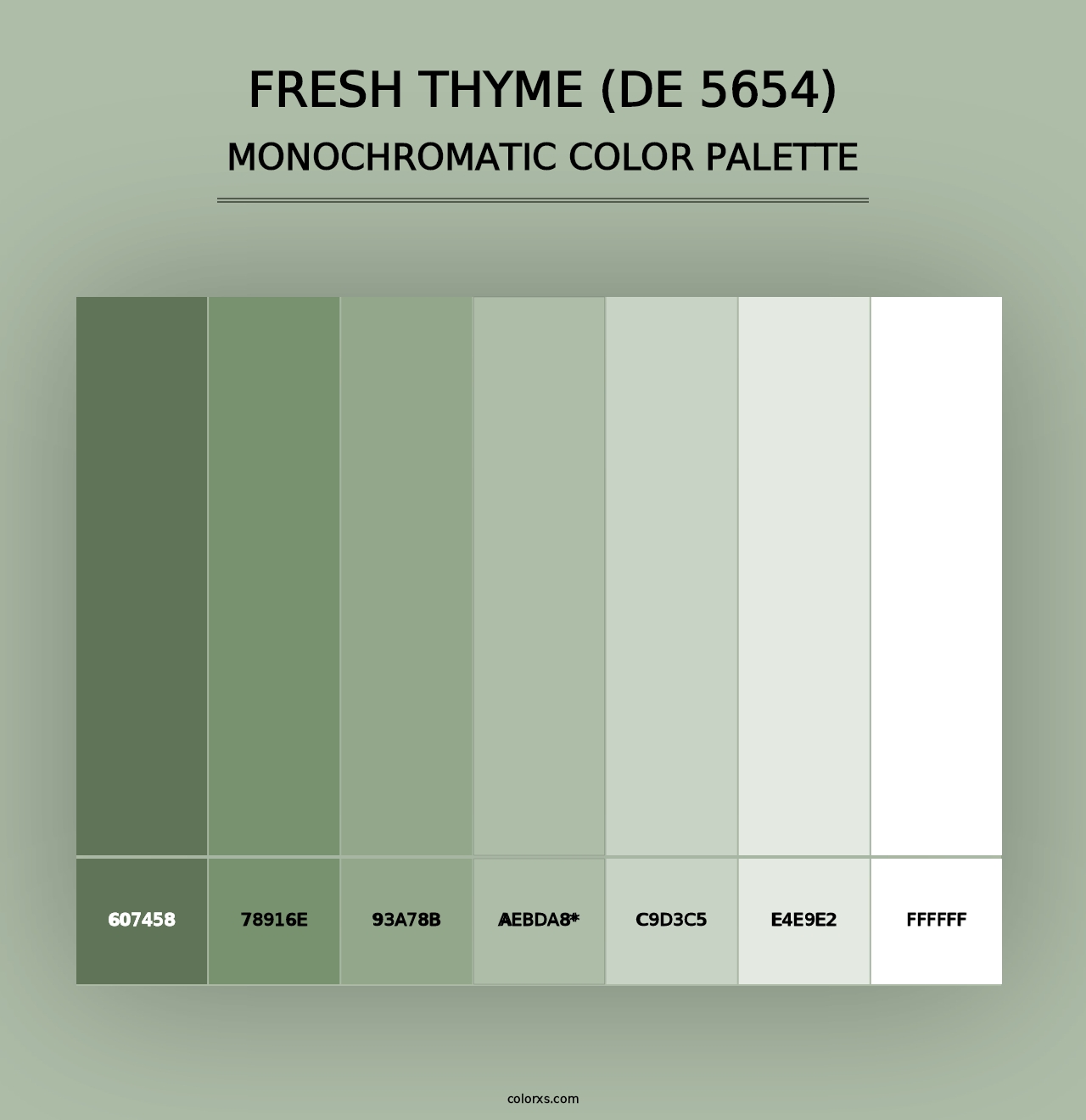 Fresh Thyme (DE 5654) - Monochromatic Color Palette