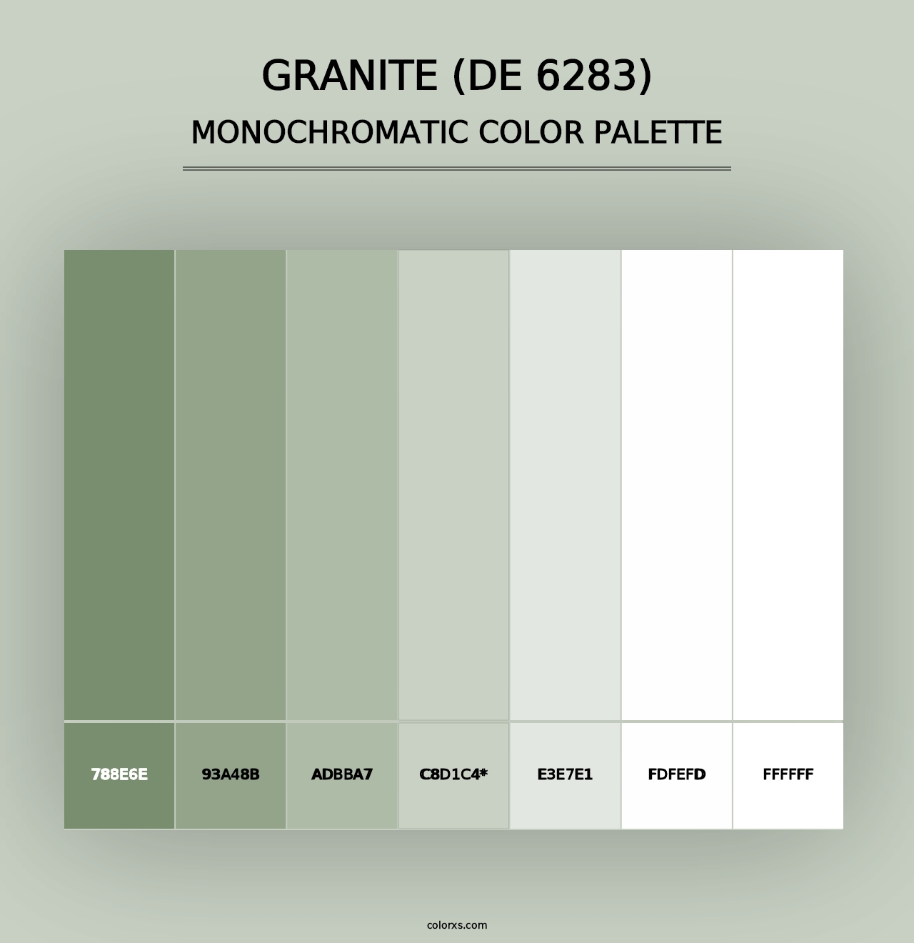 Granite (DE 6283) - Monochromatic Color Palette