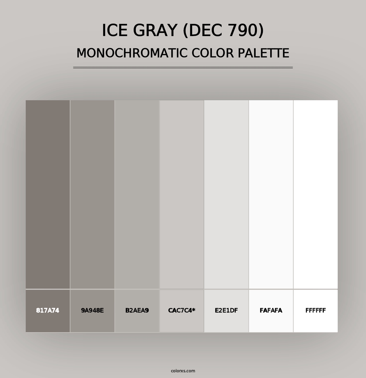 Ice Gray (DEC 790) - Monochromatic Color Palette