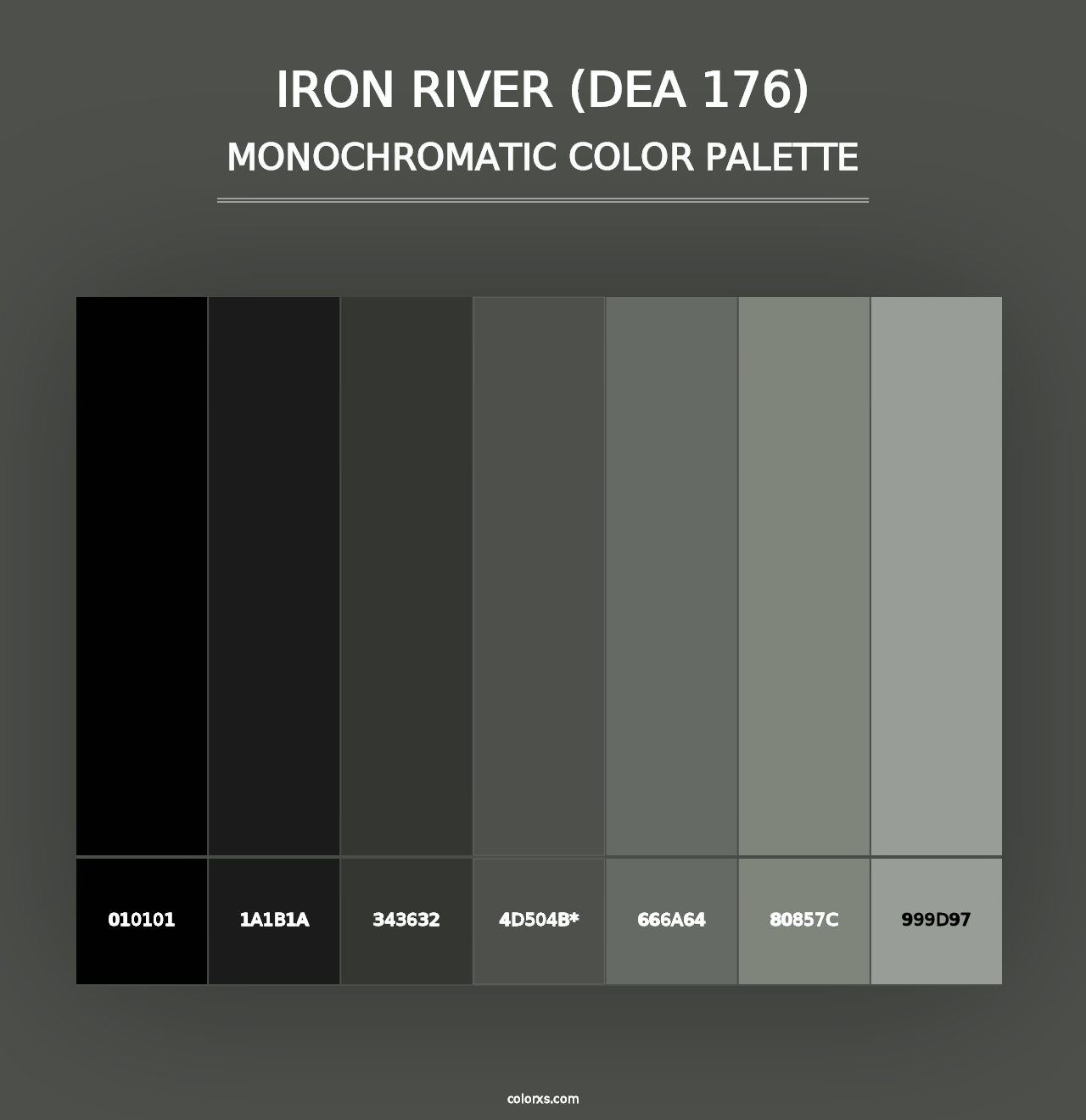 Iron River (DEA 176) - Monochromatic Color Palette