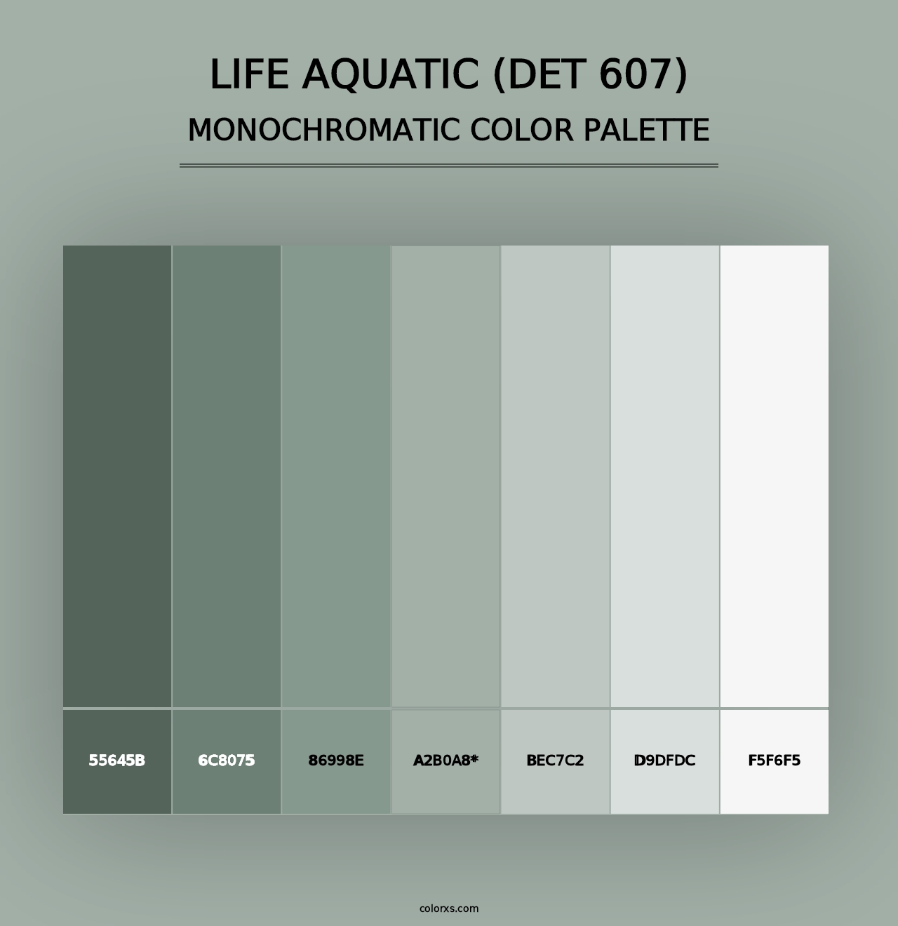 Life Aquatic (DET 607) - Monochromatic Color Palette