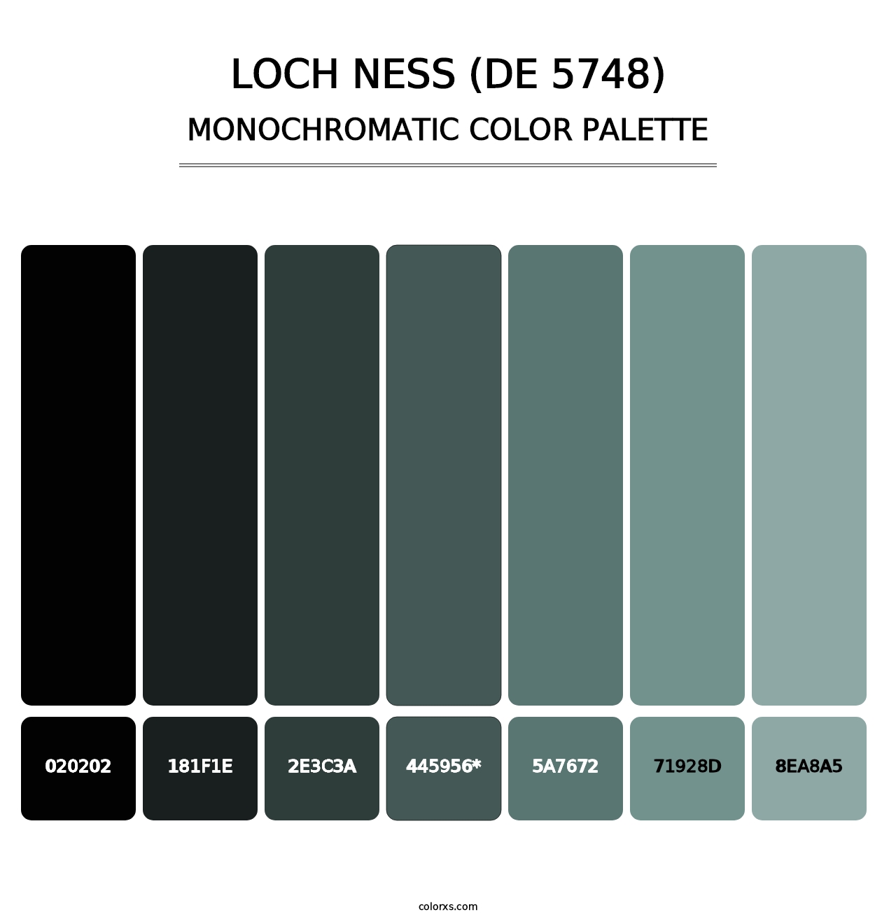 Loch Ness (DE 5748) - Monochromatic Color Palette