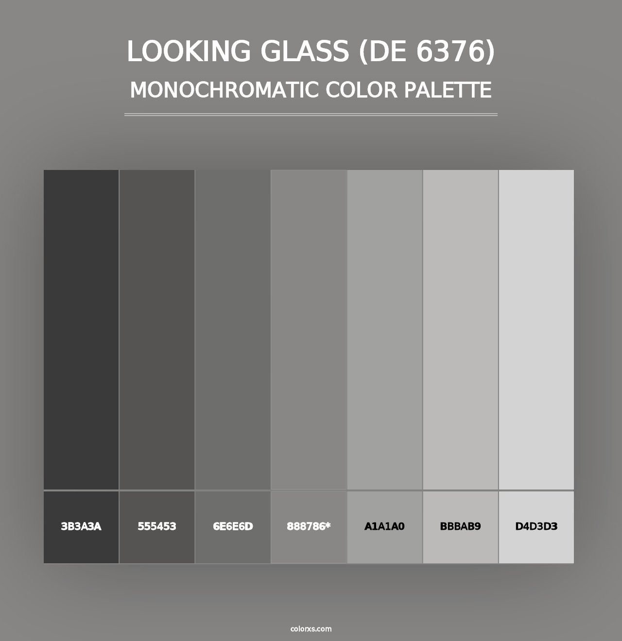 Looking Glass (DE 6376) - Monochromatic Color Palette