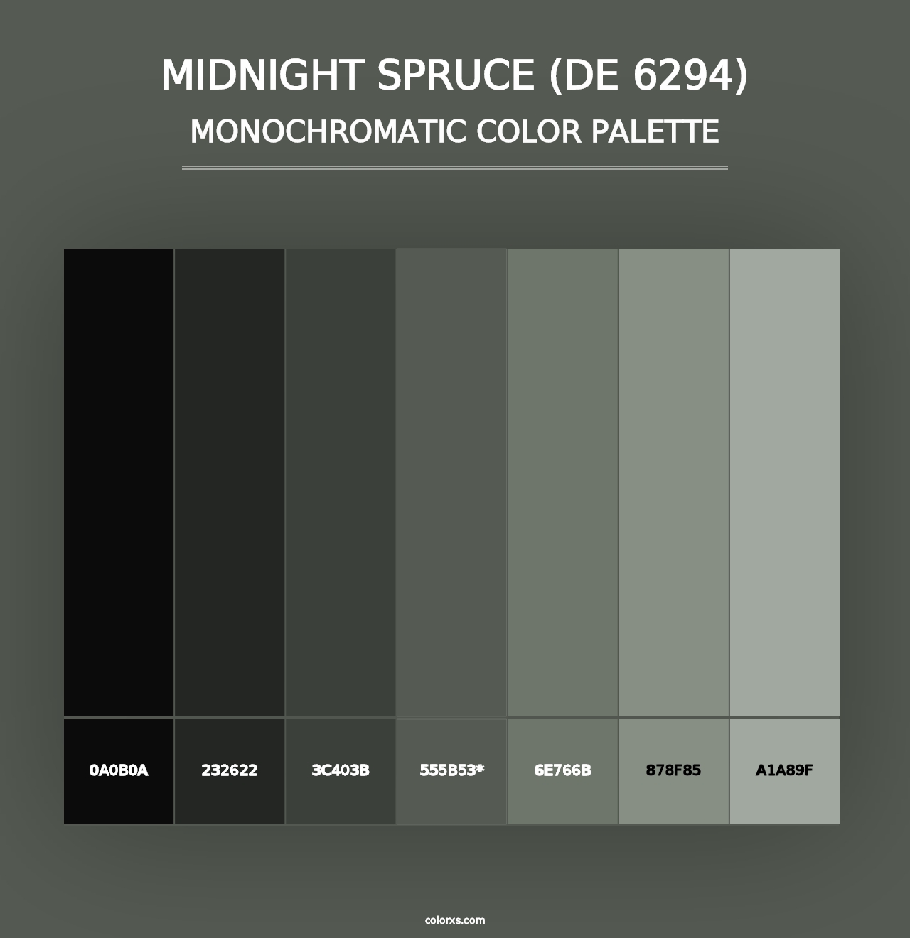 Midnight Spruce (DE 6294) - Monochromatic Color Palette