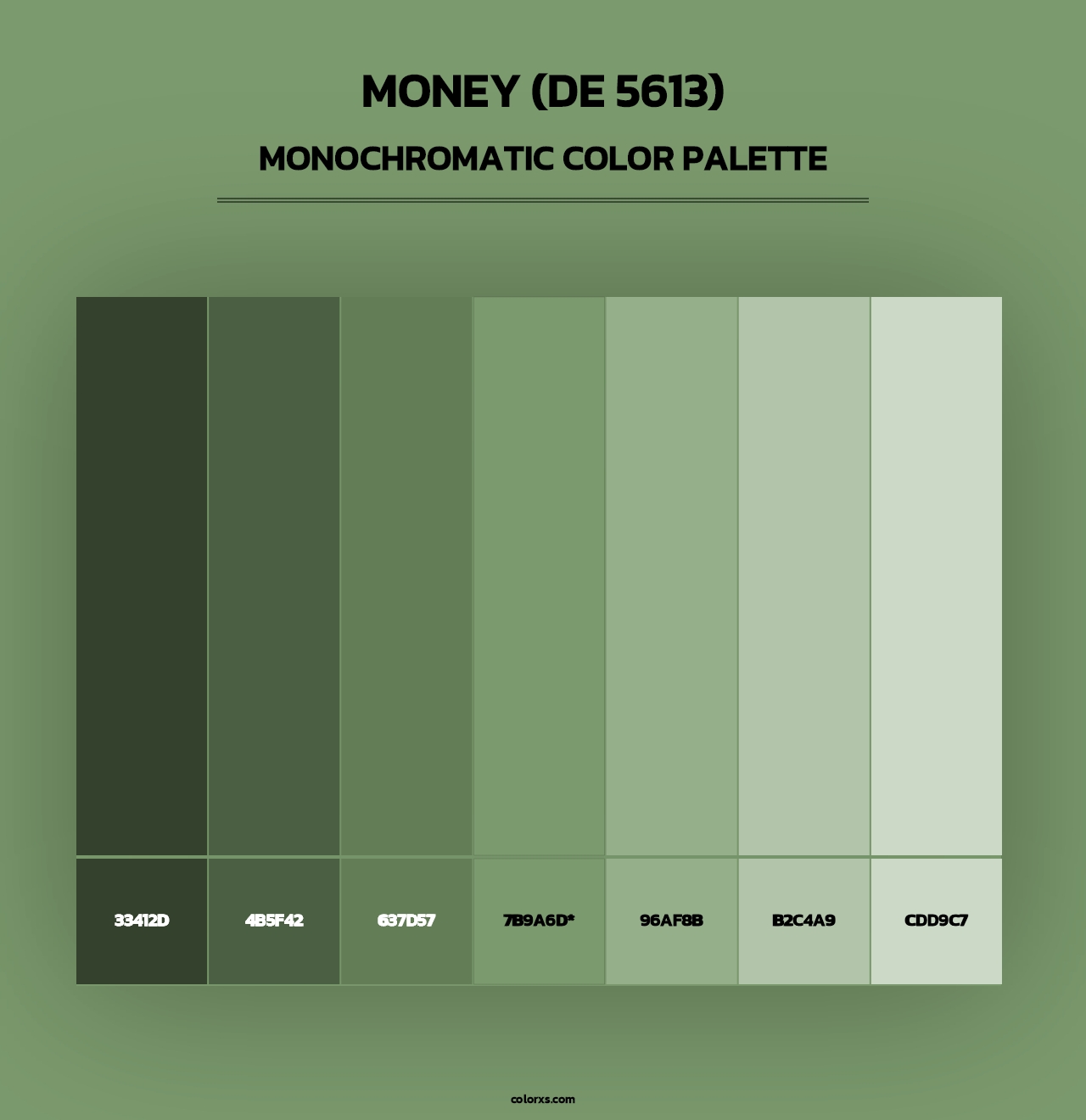 Money (DE 5613) - Monochromatic Color Palette