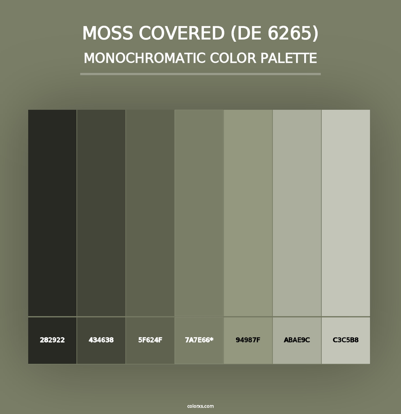 Moss Covered (DE 6265) - Monochromatic Color Palette