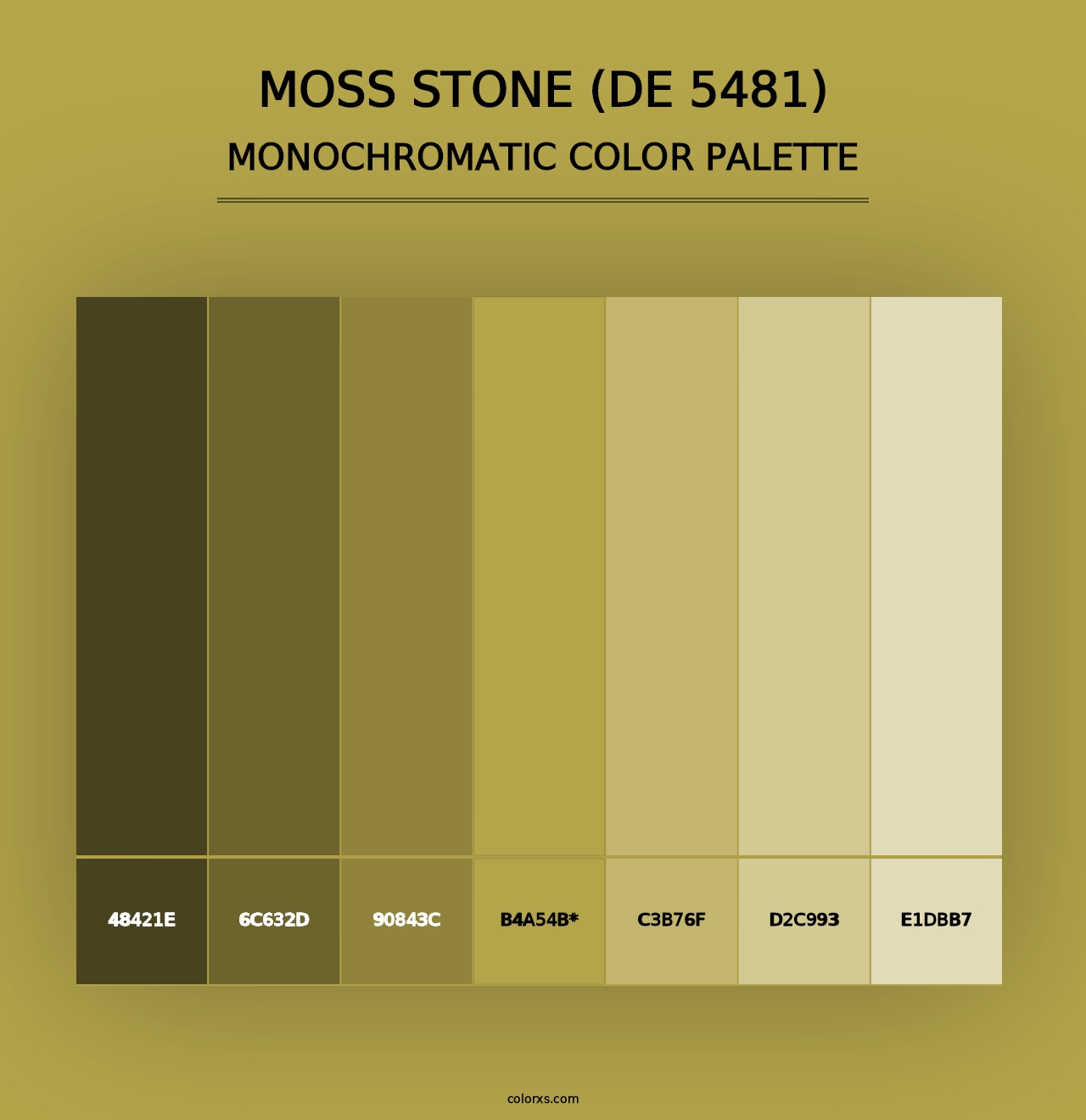 Moss Stone (DE 5481) - Monochromatic Color Palette