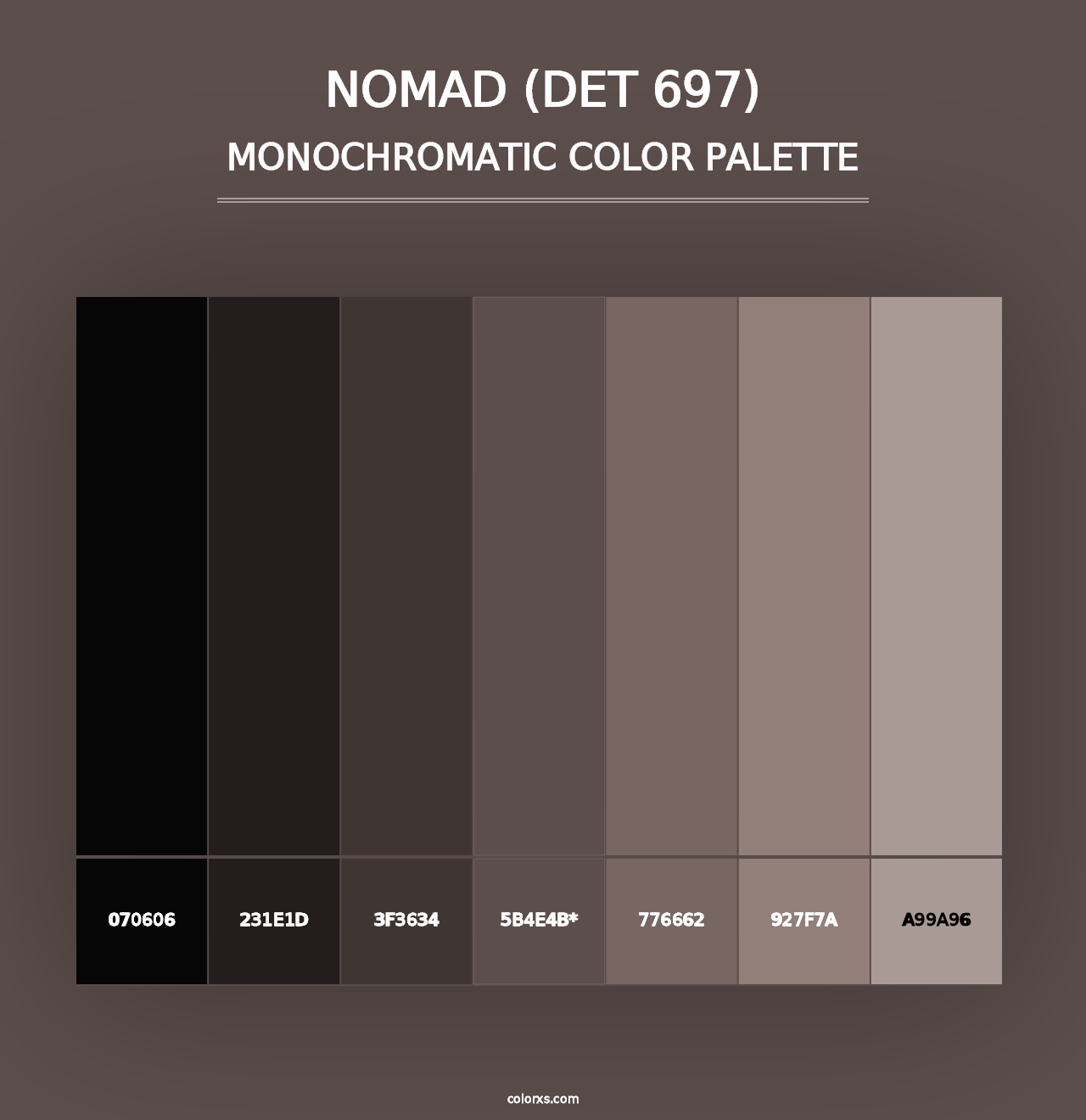 Nomad (DET 697) - Monochromatic Color Palette