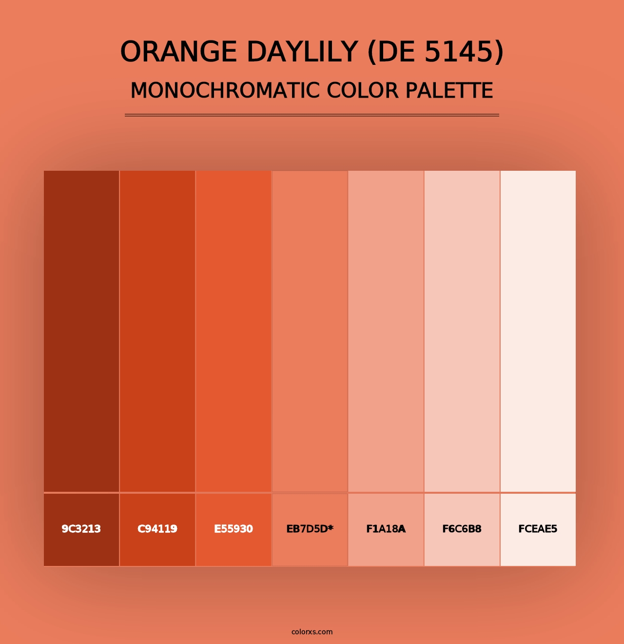 Orange Daylily (DE 5145) - Monochromatic Color Palette