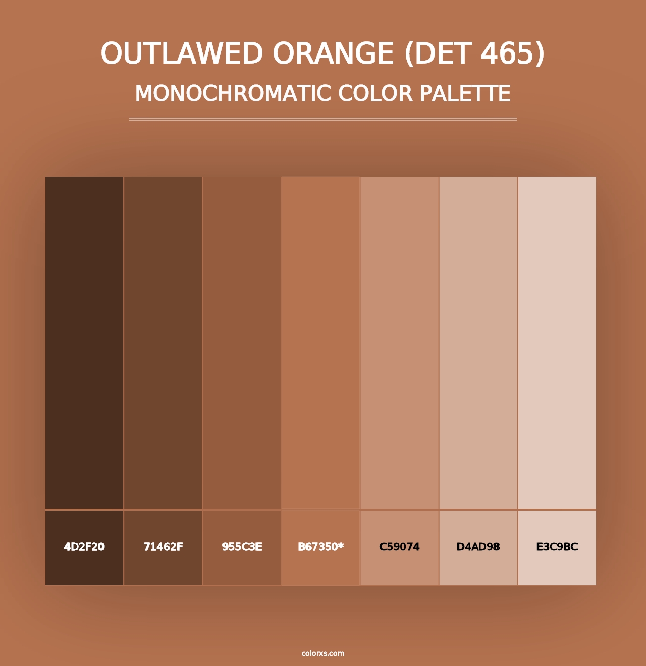 Outlawed Orange (DET 465) - Monochromatic Color Palette