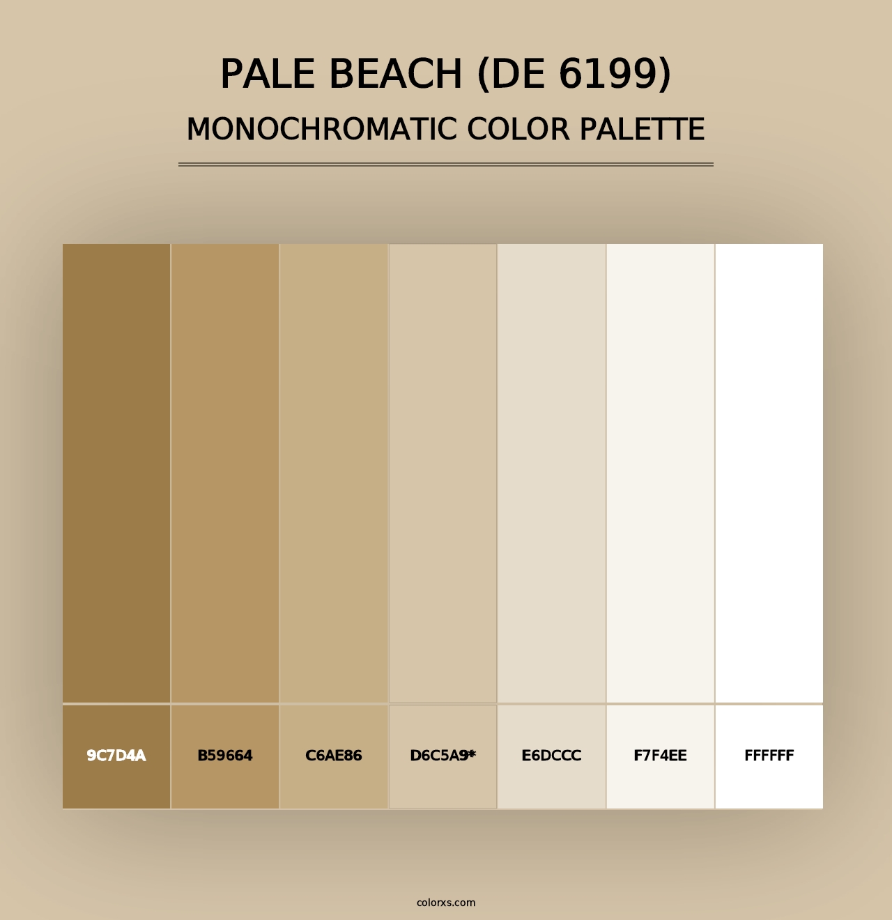 Pale Beach (DE 6199) - Monochromatic Color Palette