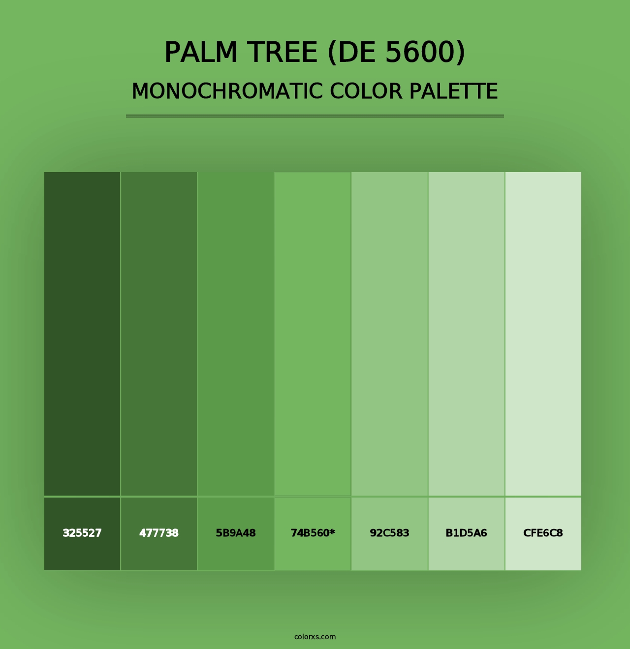 Palm Tree (DE 5600) - Monochromatic Color Palette