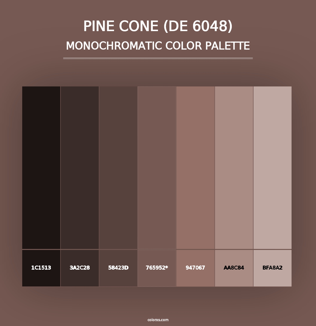 Pine Cone (DE 6048) - Monochromatic Color Palette