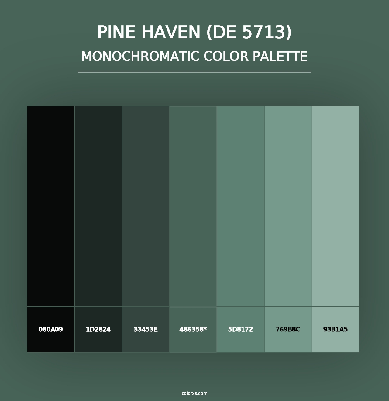 Pine Haven (DE 5713) - Monochromatic Color Palette