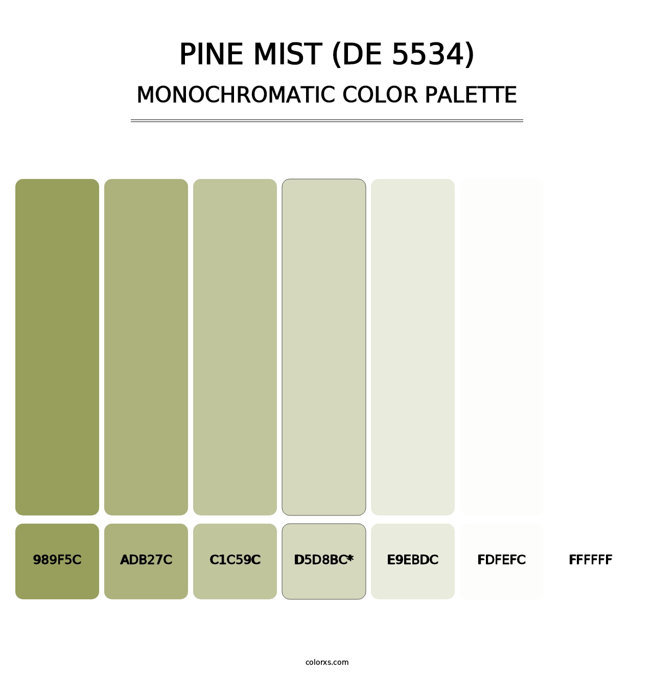 Pine Mist (DE 5534) - Monochromatic Color Palette