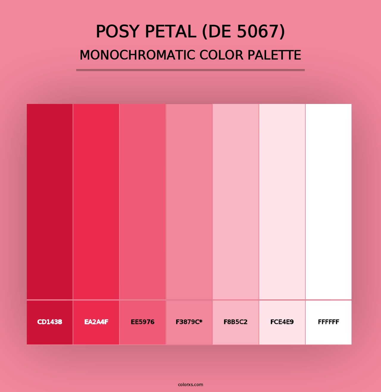 Posy Petal (DE 5067) - Monochromatic Color Palette