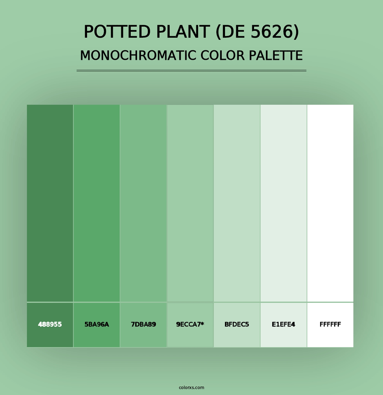 Potted Plant (DE 5626) - Monochromatic Color Palette