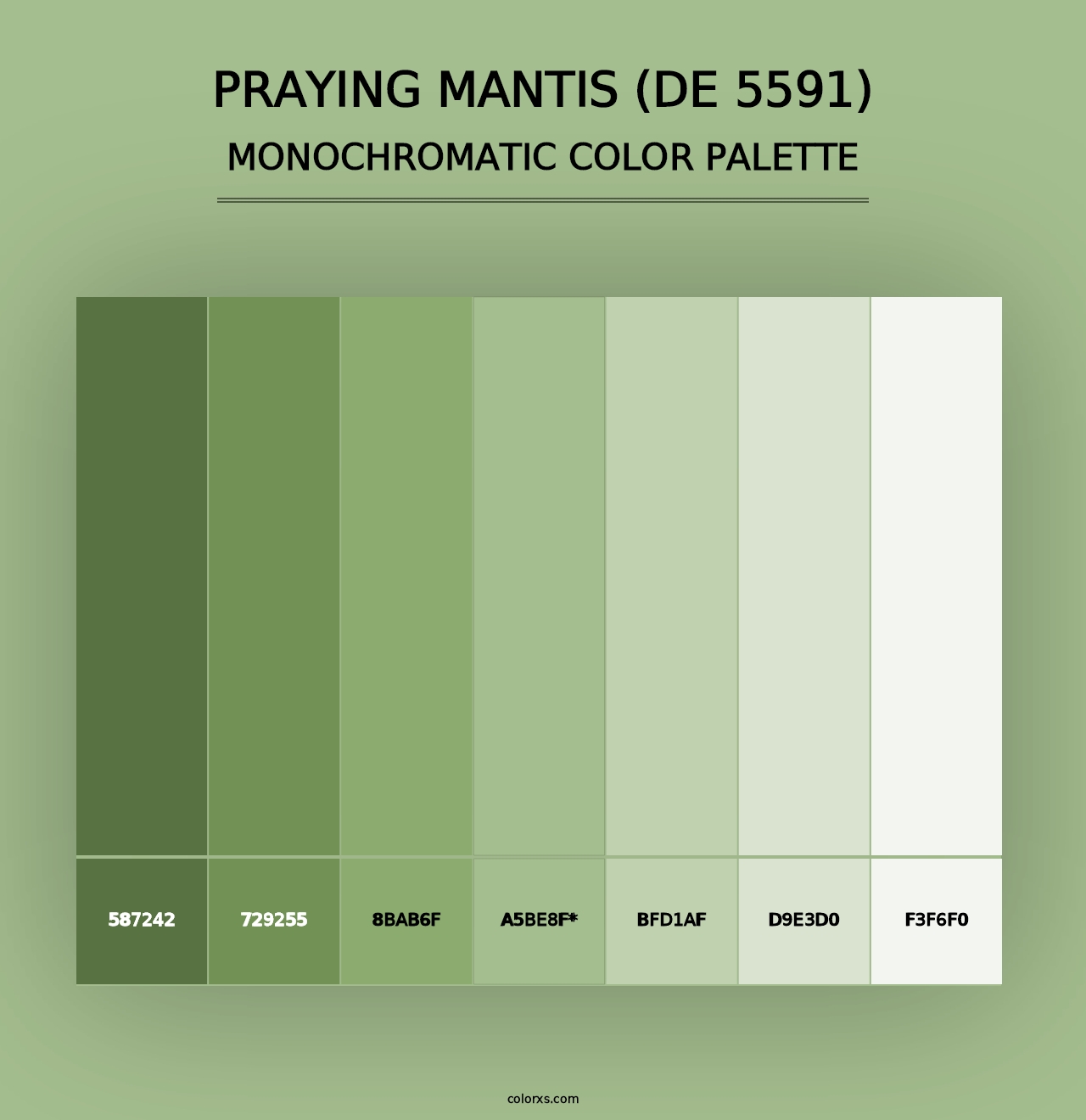 Praying Mantis (DE 5591) - Monochromatic Color Palette