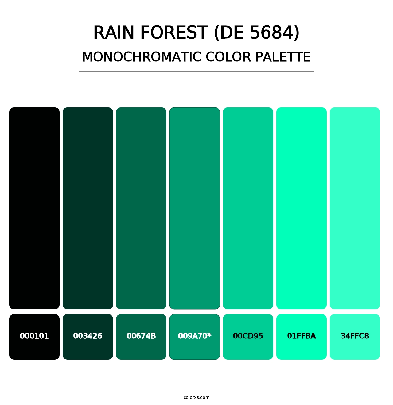 Rain Forest (DE 5684) - Monochromatic Color Palette