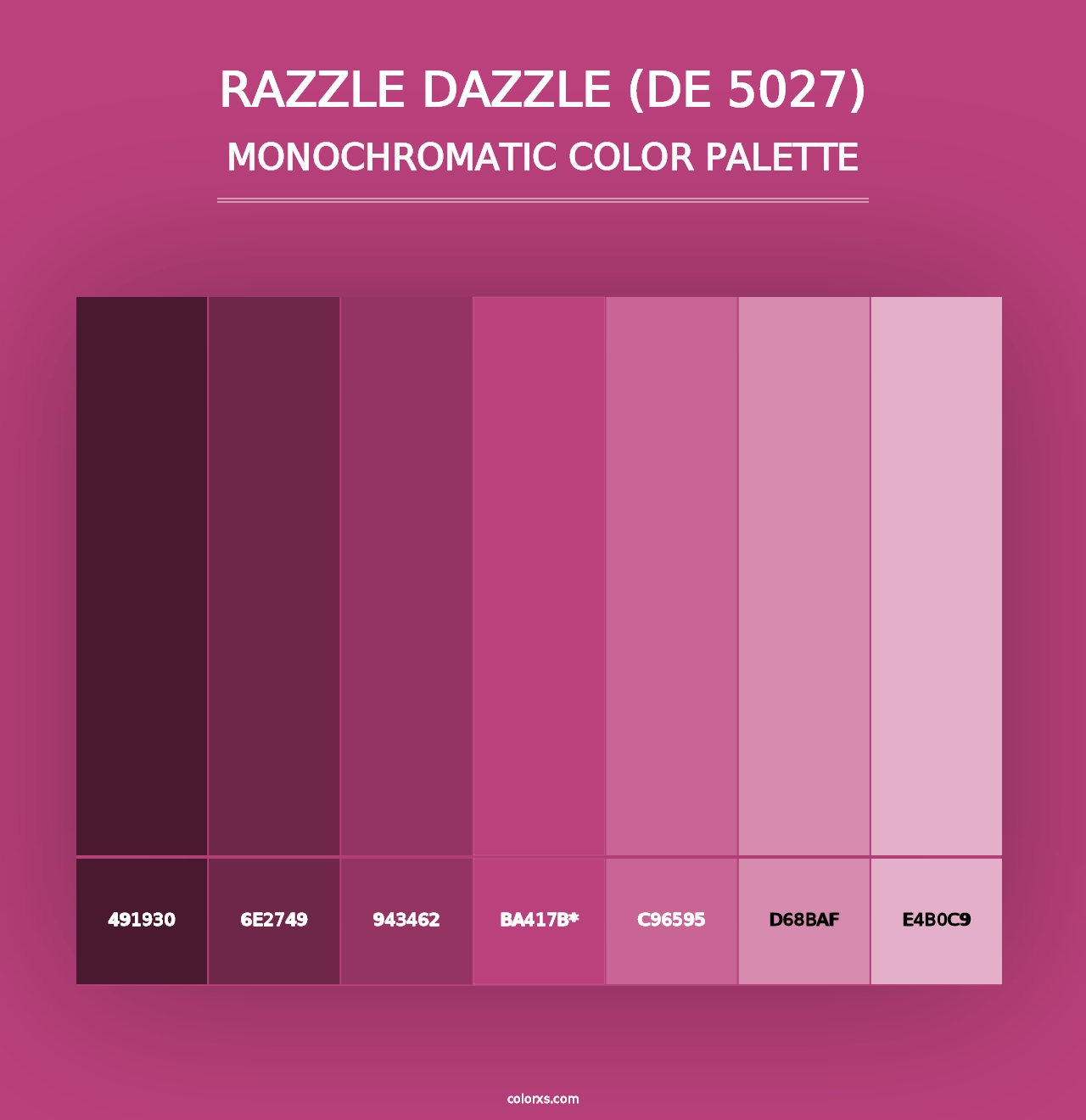 Razzle Dazzle (DE 5027) - Monochromatic Color Palette