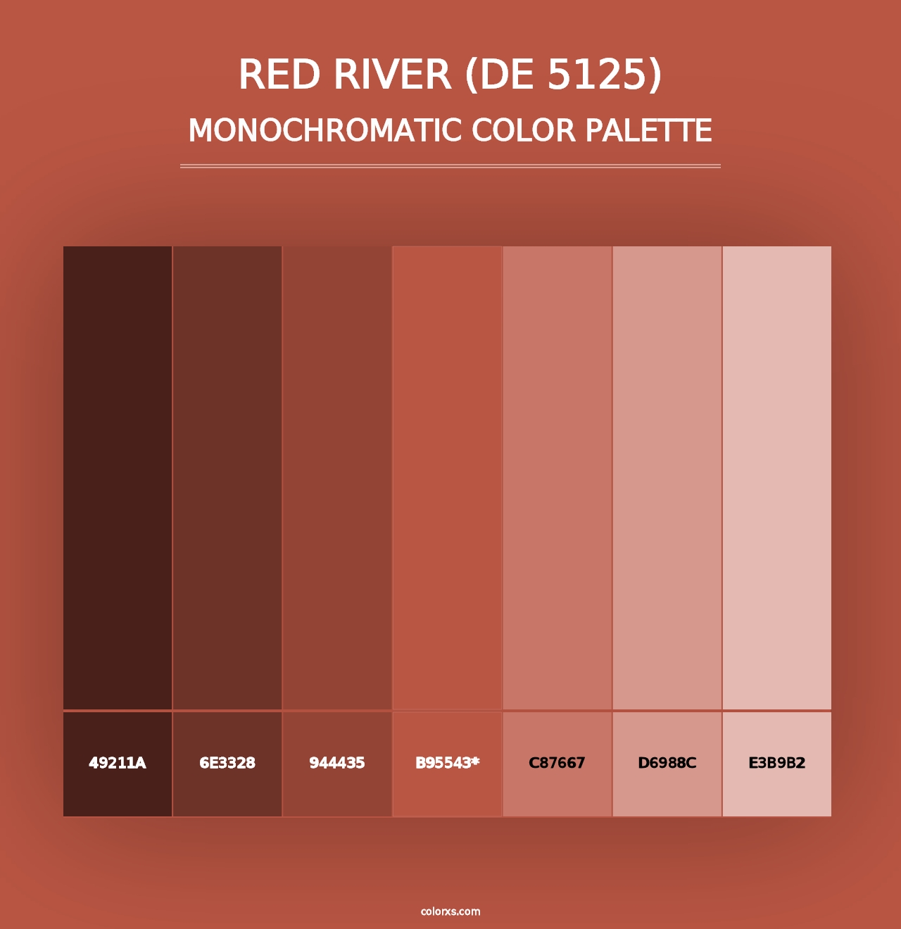 Red River (DE 5125) - Monochromatic Color Palette