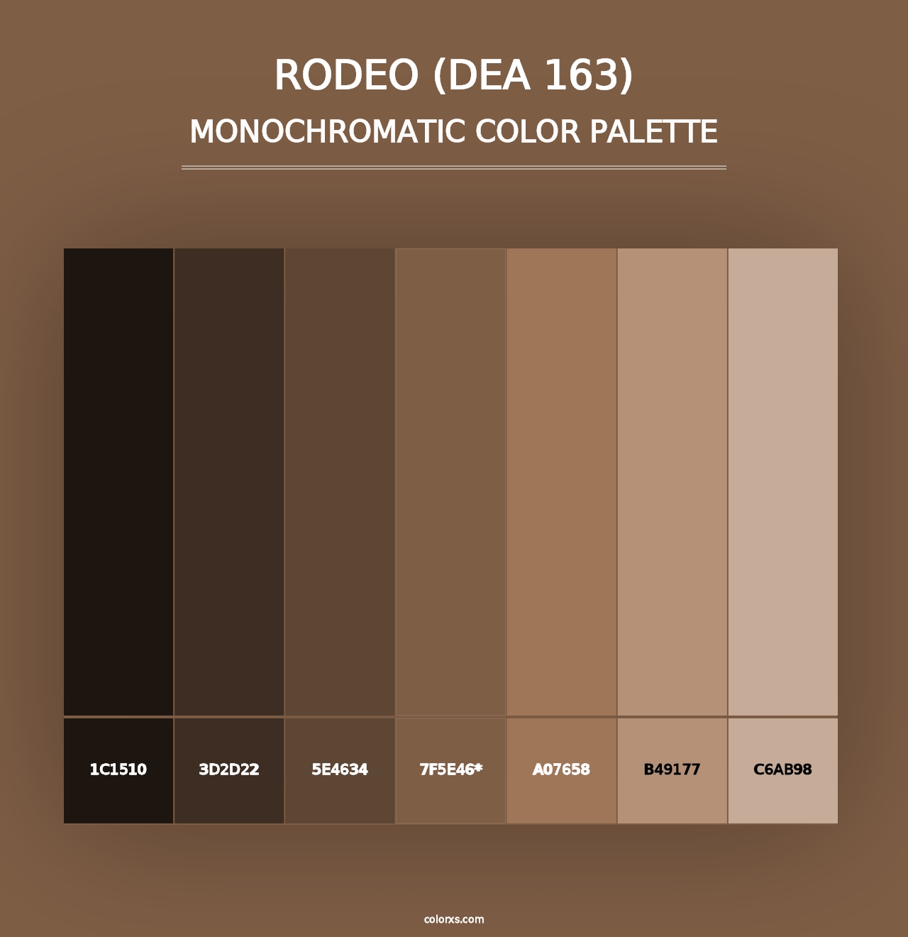 Rodeo (DEA 163) - Monochromatic Color Palette