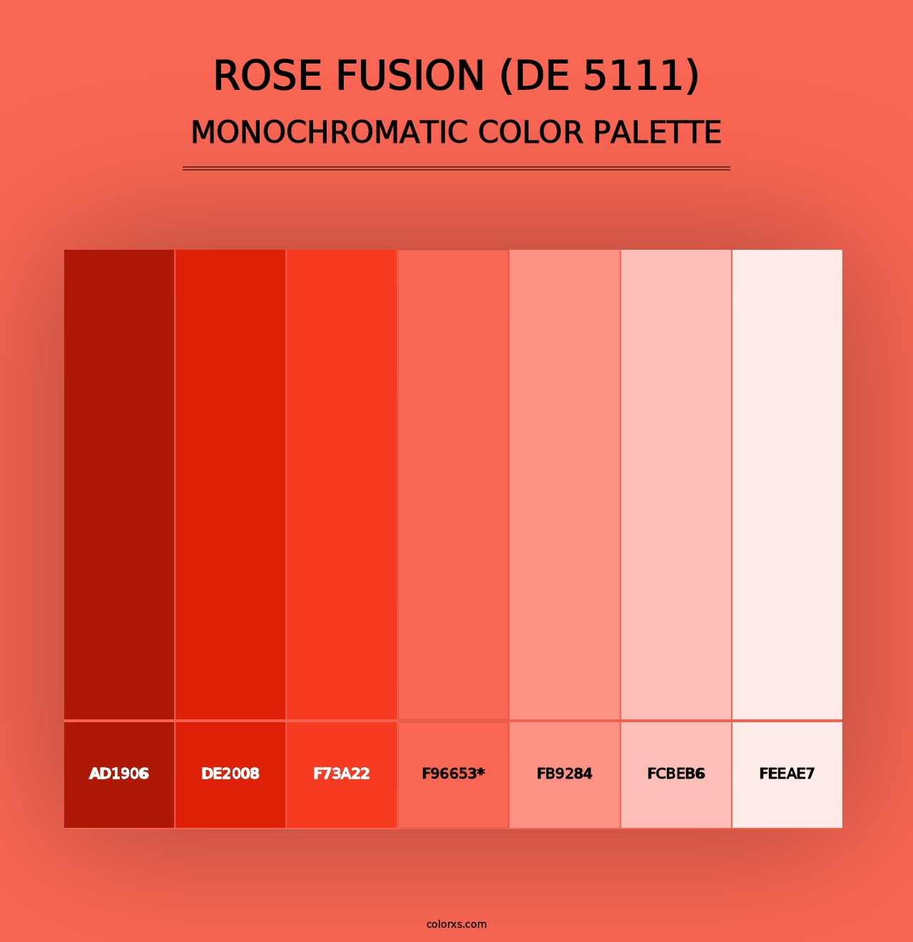 Rose Fusion (DE 5111) - Monochromatic Color Palette