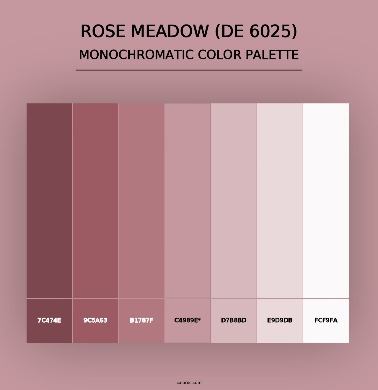 Rose Meadow (DE 6025) - Monochromatic Color Palette