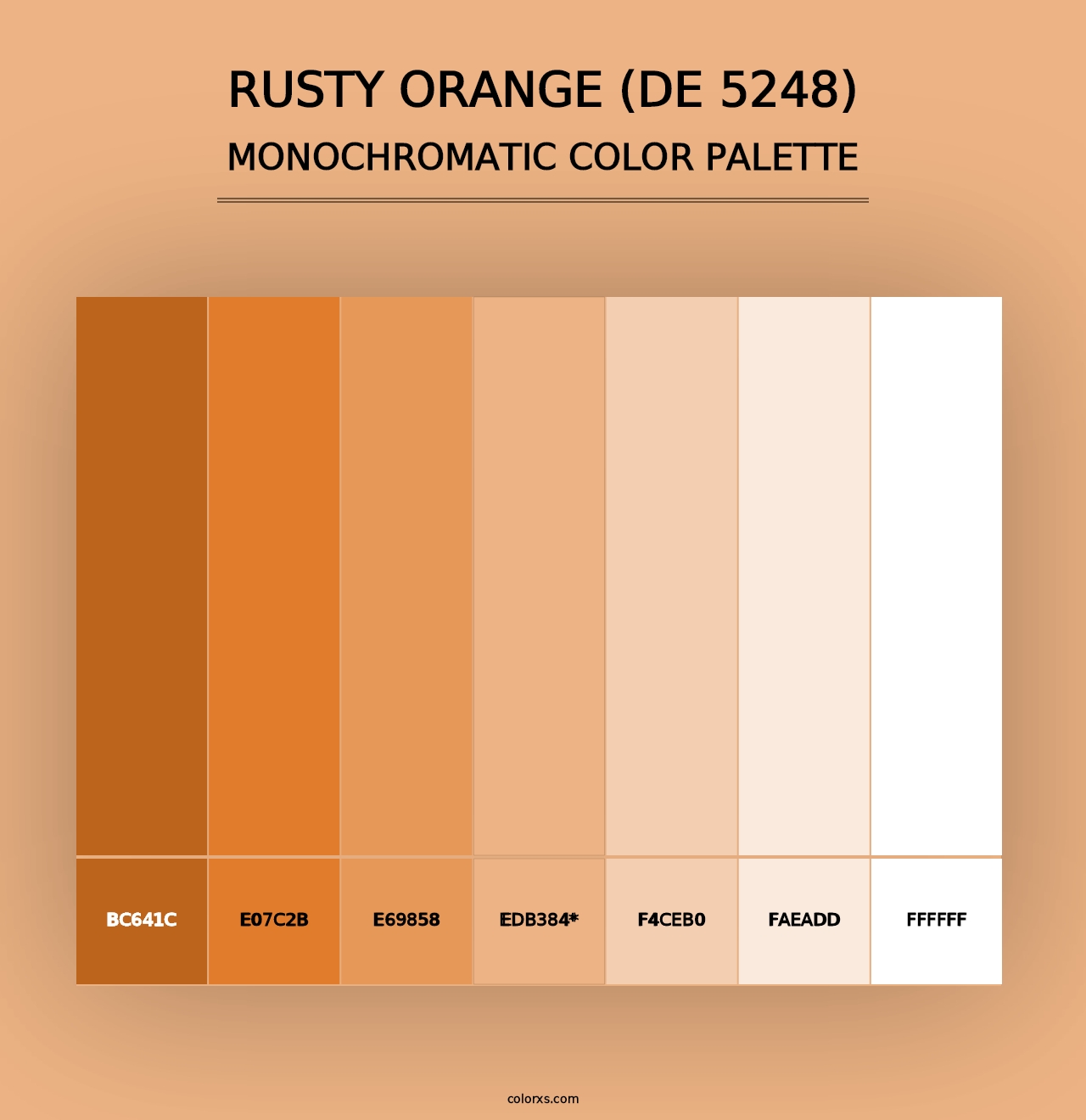 Rusty Orange (DE 5248) - Monochromatic Color Palette