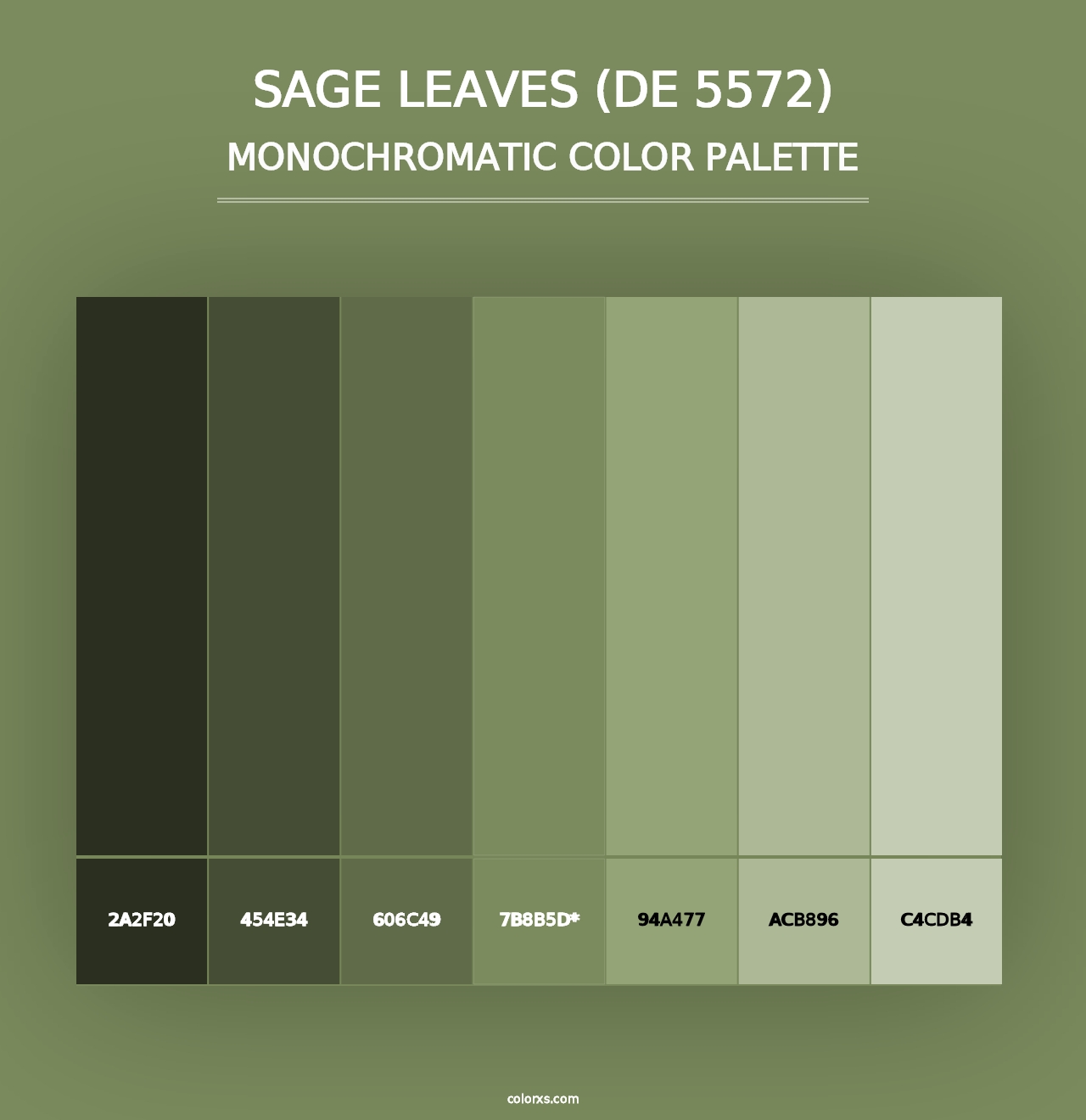 Sage Leaves (DE 5572) - Monochromatic Color Palette