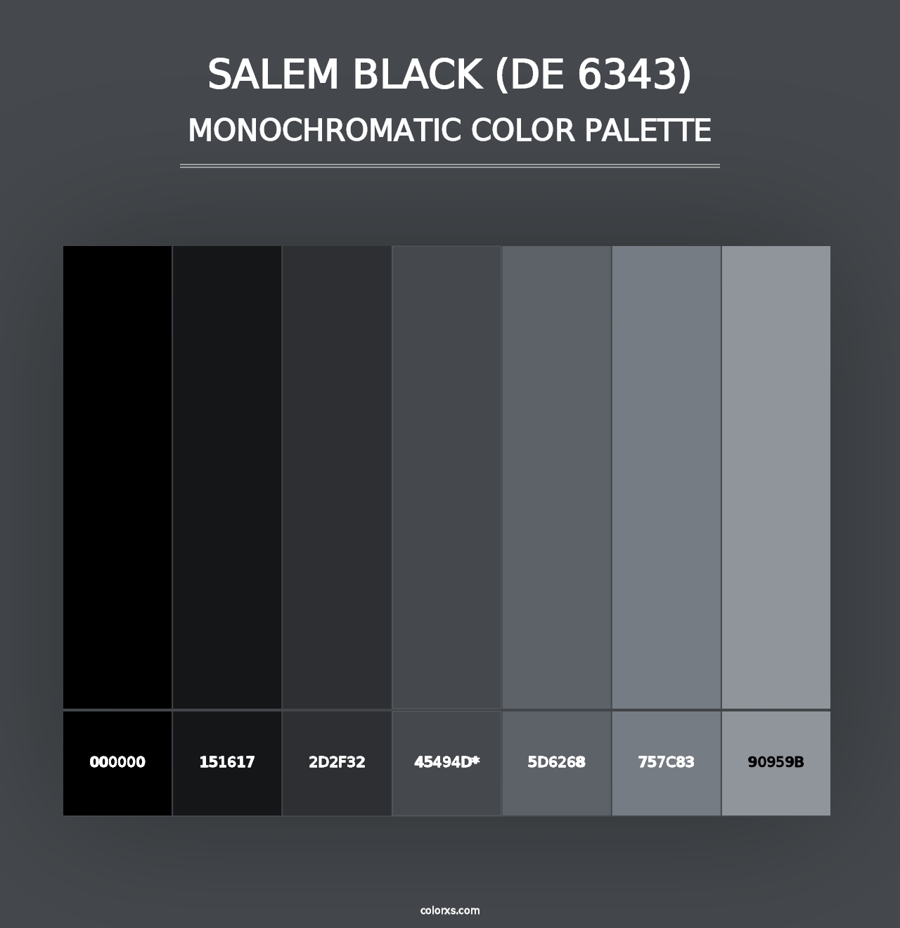 Salem Black (DE 6343) - Monochromatic Color Palette