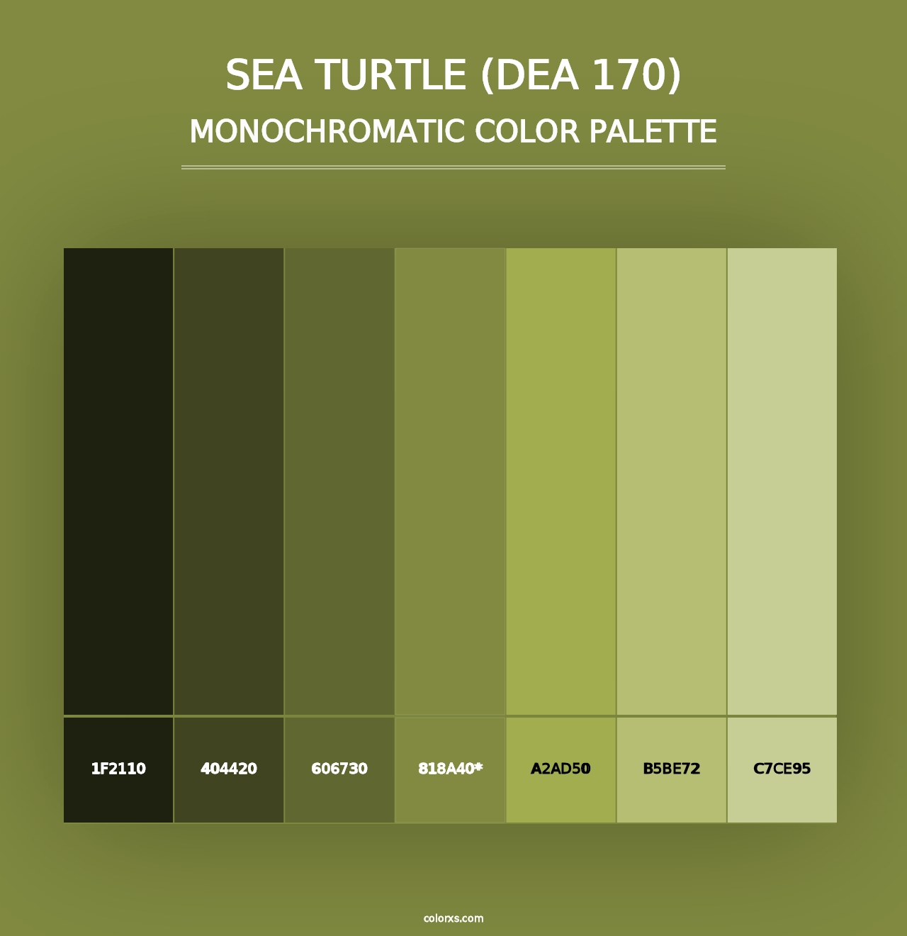 Sea Turtle (DEA 170) - Monochromatic Color Palette