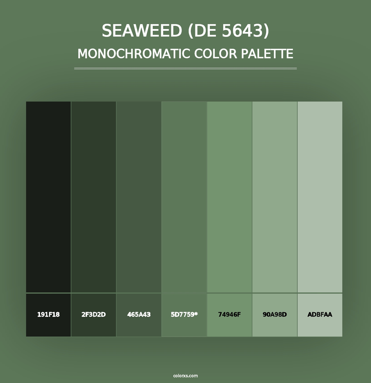 Seaweed (DE 5643) - Monochromatic Color Palette