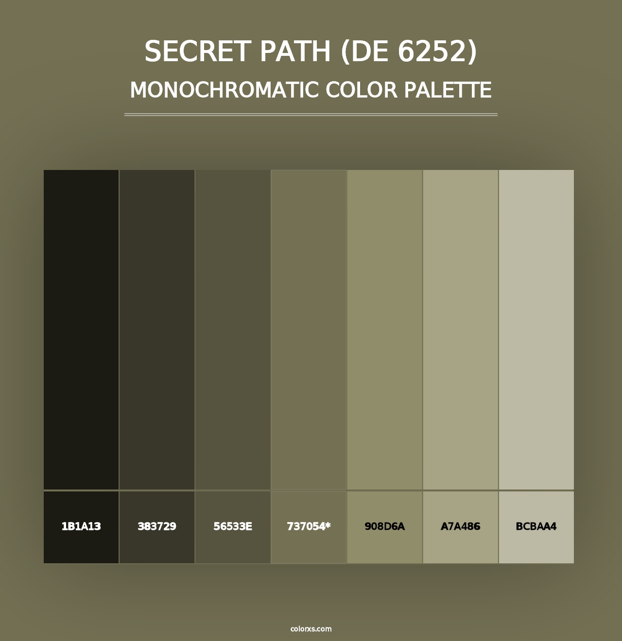 Secret Path (DE 6252) - Monochromatic Color Palette