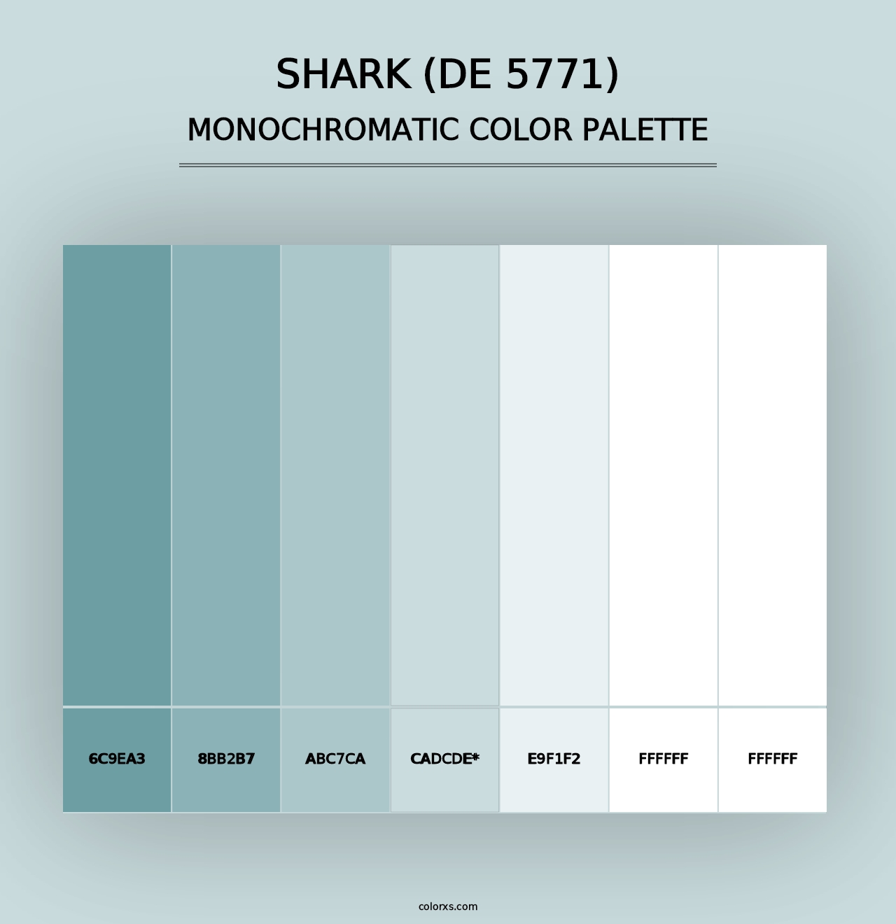 Shark (DE 5771) - Monochromatic Color Palette