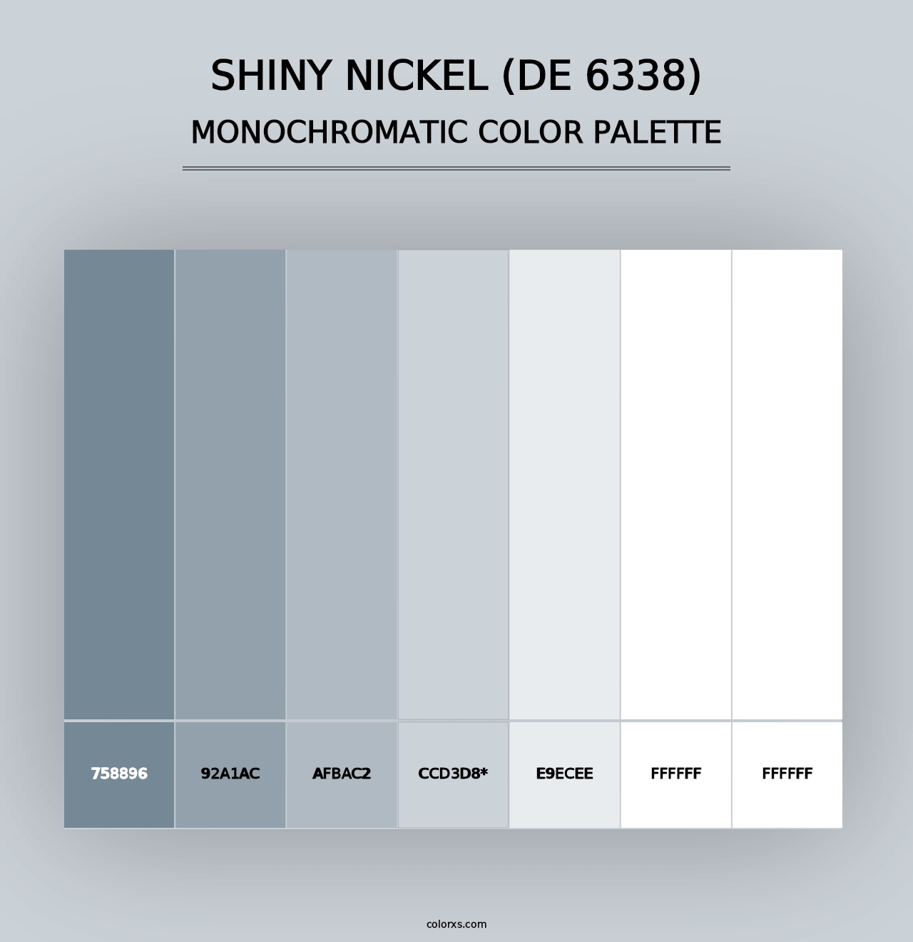 Shiny Nickel (DE 6338) - Monochromatic Color Palette