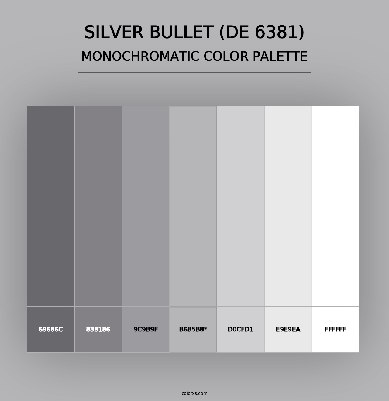 Silver Bullet (DE 6381) - Monochromatic Color Palette