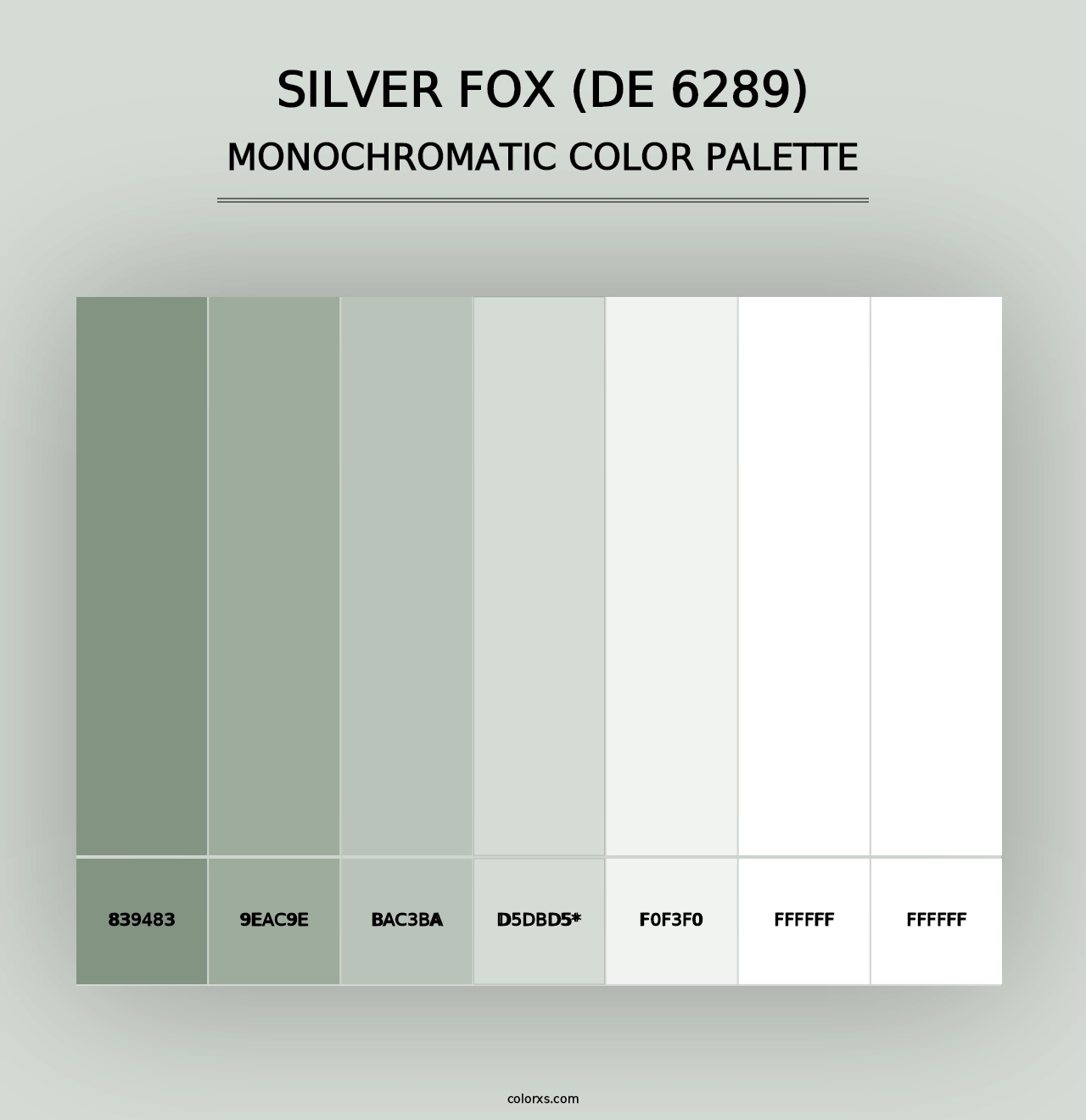 Silver Fox (DE 6289) - Monochromatic Color Palette