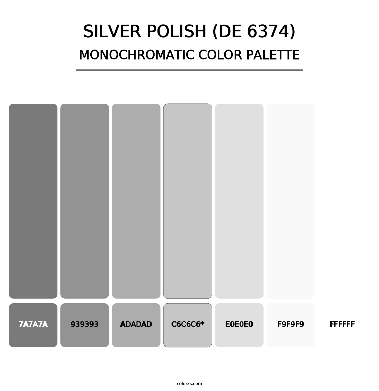 Silver Polish (DE 6374) - Monochromatic Color Palette