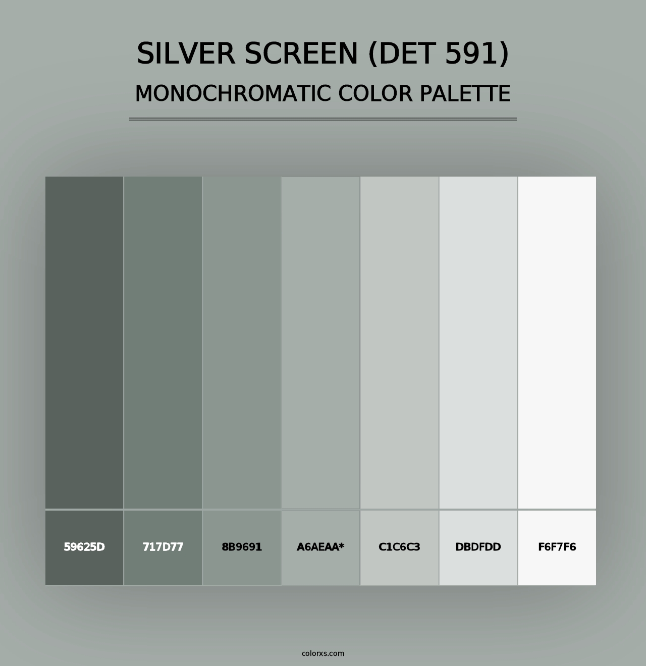 Silver Screen (DET 591) - Monochromatic Color Palette