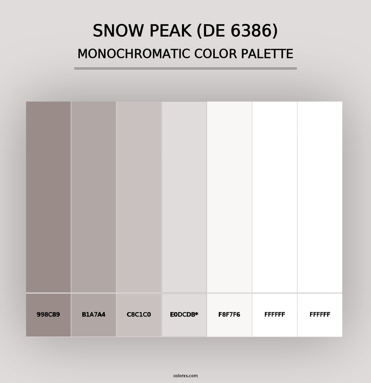 Snow Peak (DE 6386) - Monochromatic Color Palette