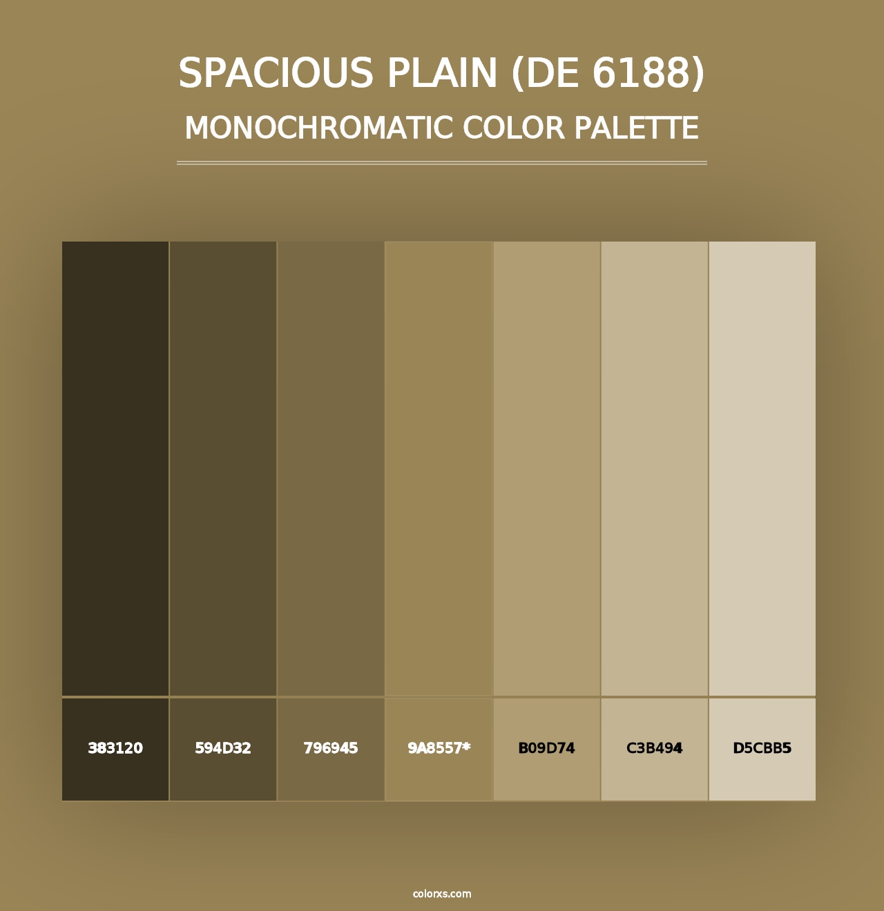 Spacious Plain (DE 6188) - Monochromatic Color Palette