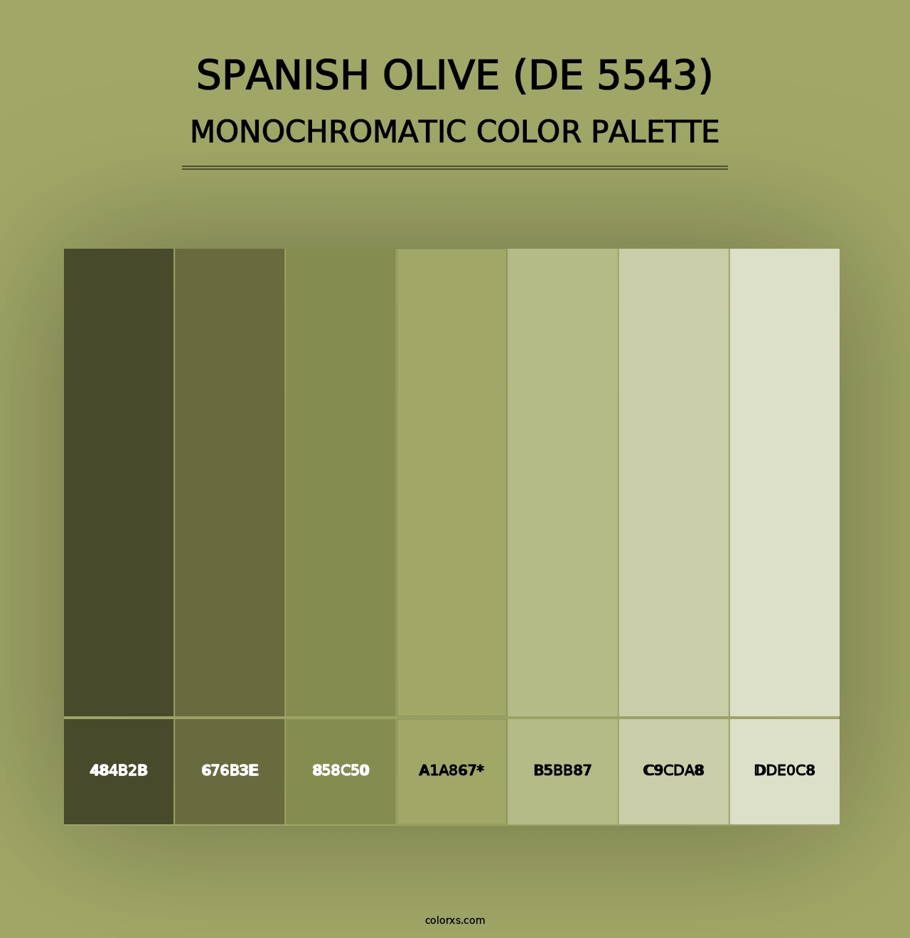 Spanish Olive (DE 5543) - Monochromatic Color Palette