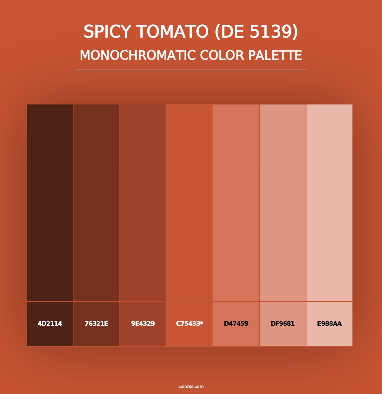 Spicy Tomato (DE 5139) - Monochromatic Color Palette