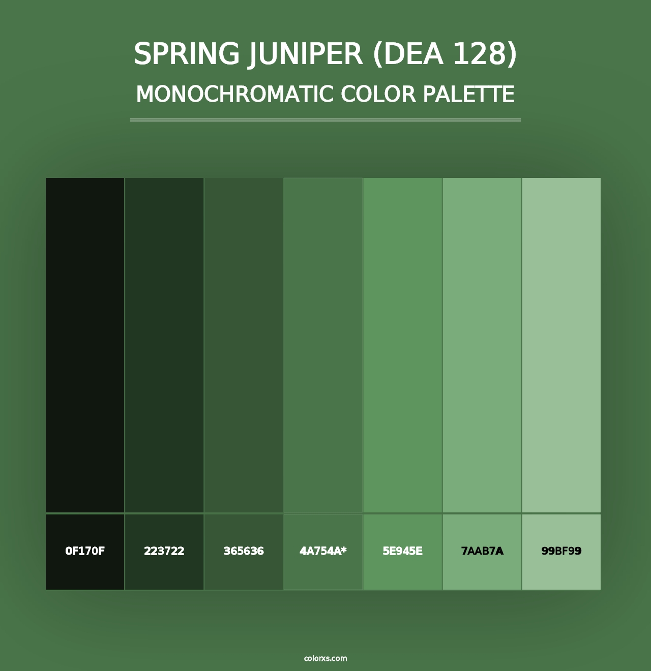 Spring Juniper (DEA 128) - Monochromatic Color Palette