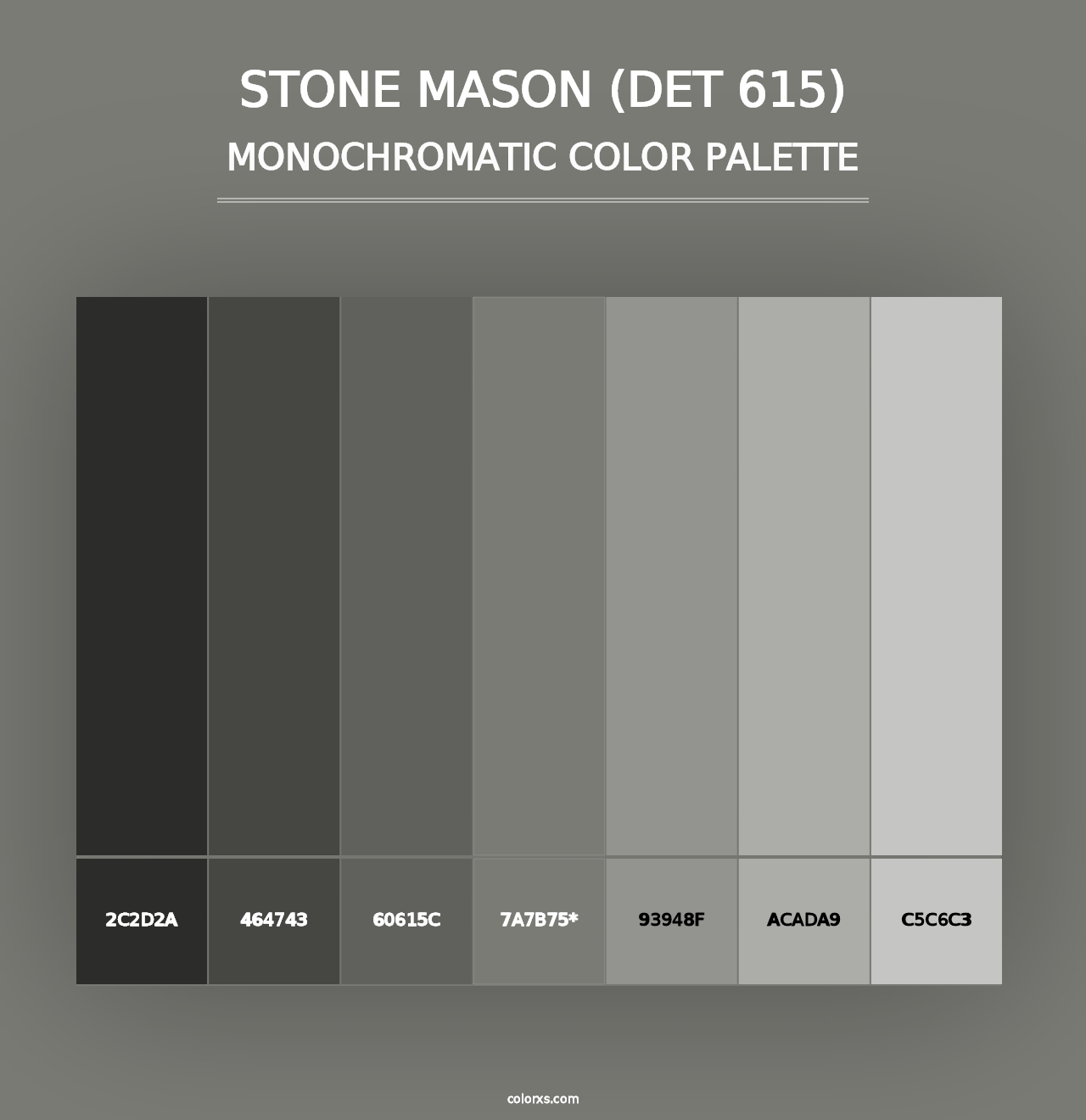 Stone Mason (DET 615) - Monochromatic Color Palette